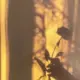 书友21***20