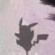 繁花落烬