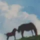 就离谱