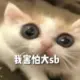 匿名