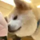lfslient