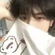 枫林晚520的头像-投影工坊
