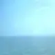 猪猪侠