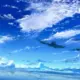 RAIN666的头像-投影工坊