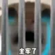 wjt123的头像-天机阁
