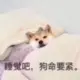 日暮倚修竹的头像-天机阁