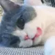 水笙