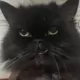 37551