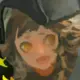 aaaaa