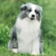 网友昵称：中山婚纱摄影