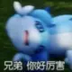 老咸鱼