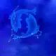 jellyfeng
