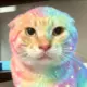 L18692175476的头像-天机阁