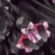 gg447700