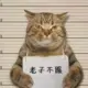 dzxzsd的头像-投影工坊