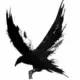 raven