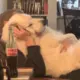 问问