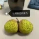 清风拌酒