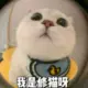 陈柒柒的头像-投影工坊