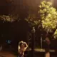 Jeffrey, M