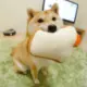 辣椒