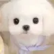 3252