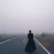 闪光禽龙的头像-天机阁