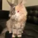 禅宗