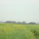 Ee67d2de37b947258