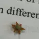肥肥k