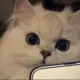 做你的神7879