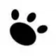 alphacat