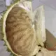签塑的头像-投影工坊