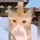 rtyui