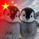 qq8866qq