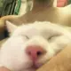 张三