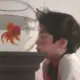 nnn9299的头像-投影工坊