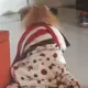 zr8508301的头像-天机阁