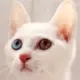 6646220