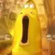 1212e的头像-投影工坊