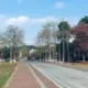 不想做选择的头像-投影工坊