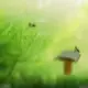 头像-方舟游戏