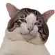 hjj2