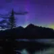 xzsa7891的头像-投影工坊