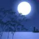 Eb5d51e72865dedd2