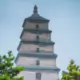 情非得已