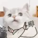 寸心一言的头像-天机阁