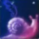 蜗牛
