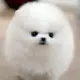 ljbliuliu