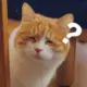no_name_qwq